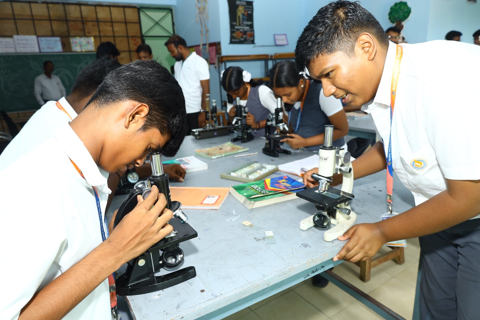 Research Project Expo - MNV